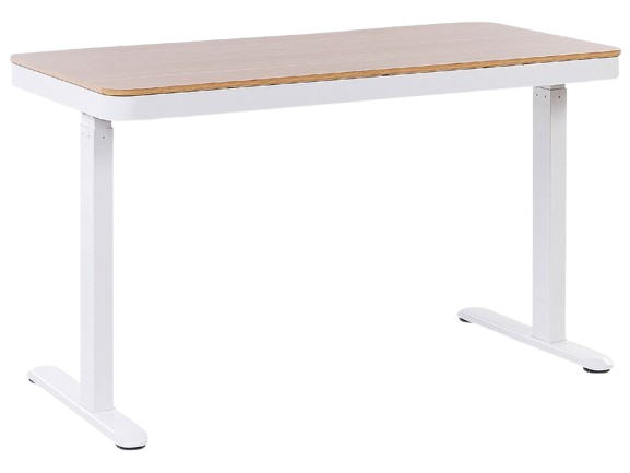 Electric Adjustable Standing Desk 120 x 60 cm with USB port Light Wood and White KENLY